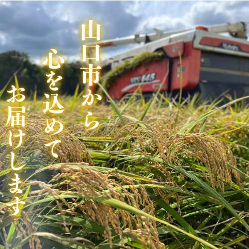 【送料込み】令和7年度産 新米 「きぬむすめ」精米10㎏