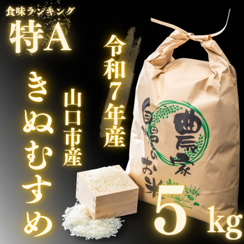 【送料込み】令和7年度産  新米　「きぬむすめ」精米5㎏　