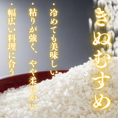 【送料込み】令和7年度産  新米　「きぬむすめ」精米5㎏　